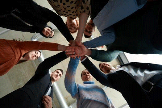 Professional Team